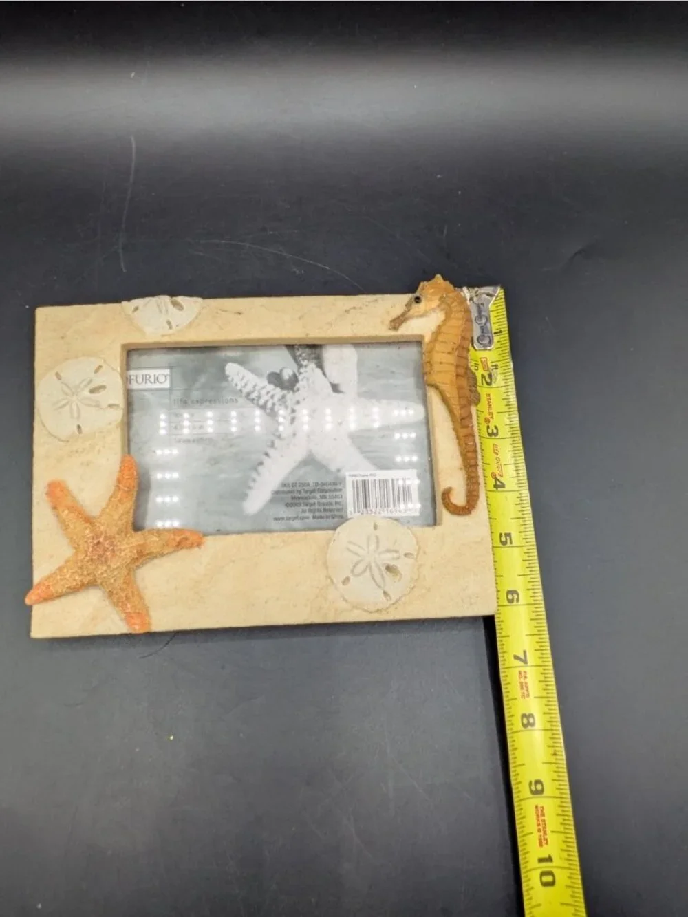 Sea Horse and Sand Dollar Sea Life Picture Frame Holds 4x6 Photo Beach Sand